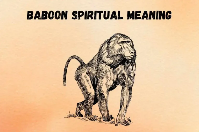 baboon-spiritual-meaning-symbolism