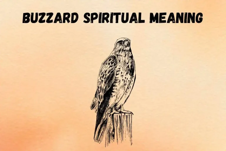 buzzard-spiritual-meaning-and-symbolism