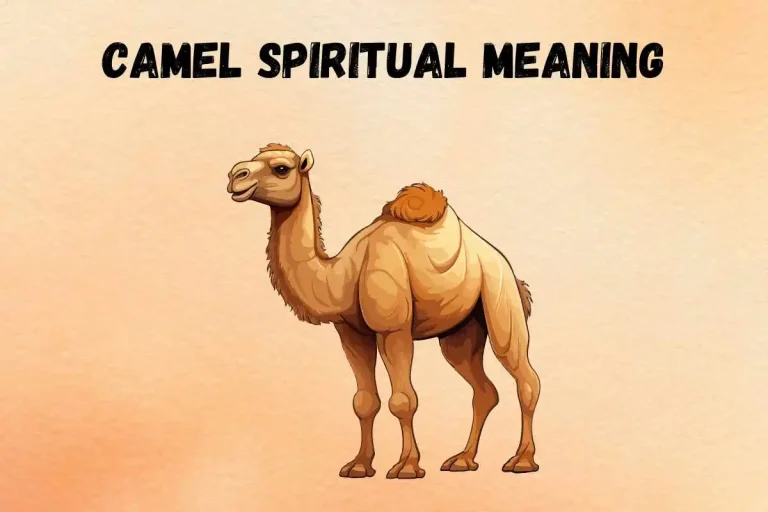 camel-spiritual-meaning-and-symbolism