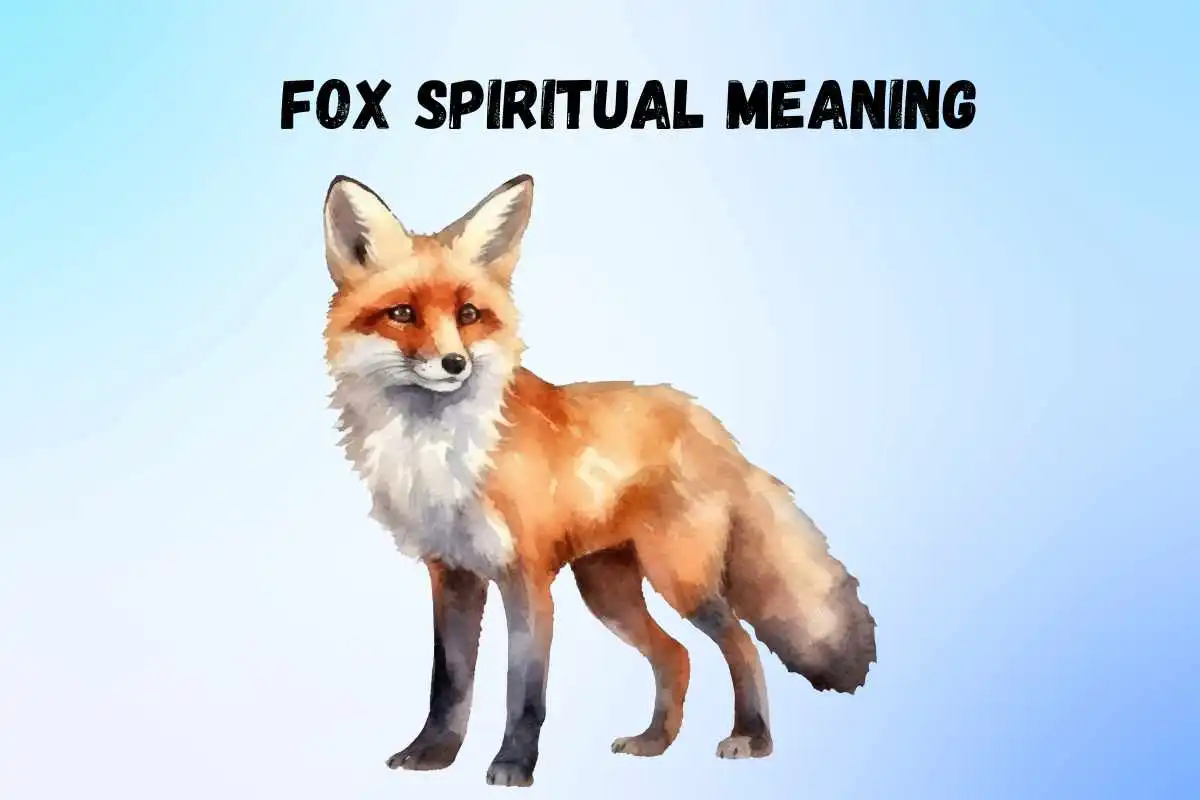 fox-spiritual-meaning-and-symbolism