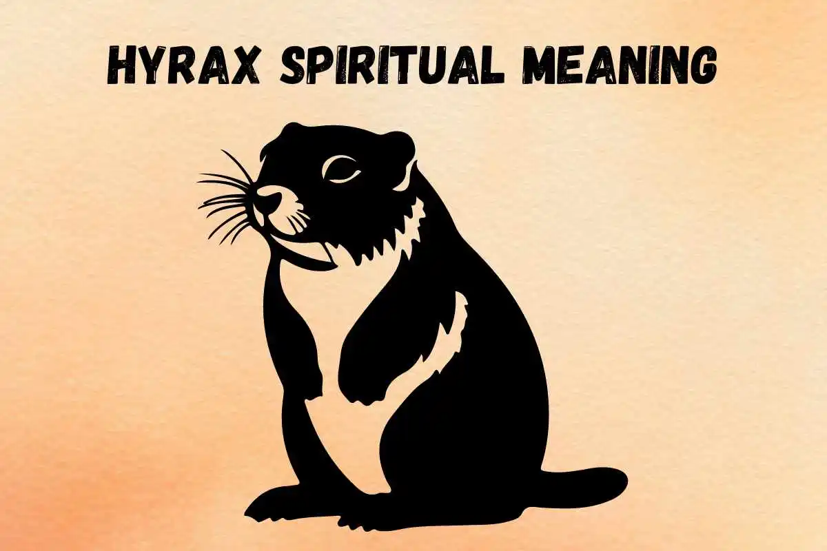 hyrax-spiritual-meaning-and-symbolism