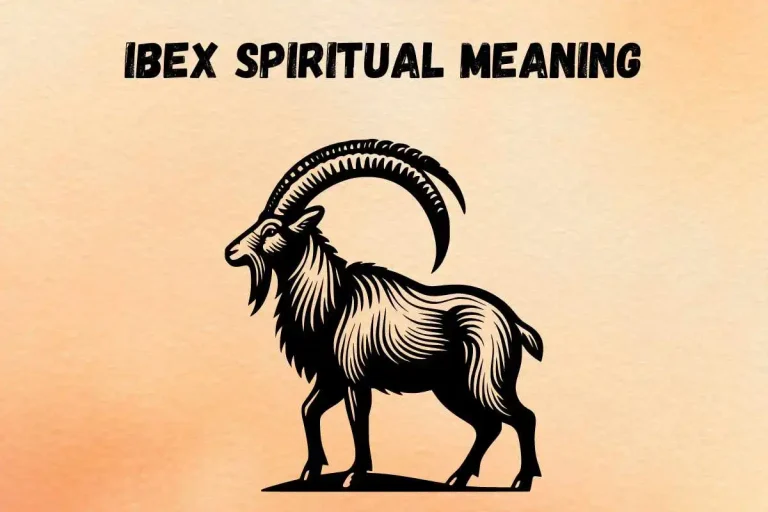 ibex-spiritual-meaning-and-symbolism