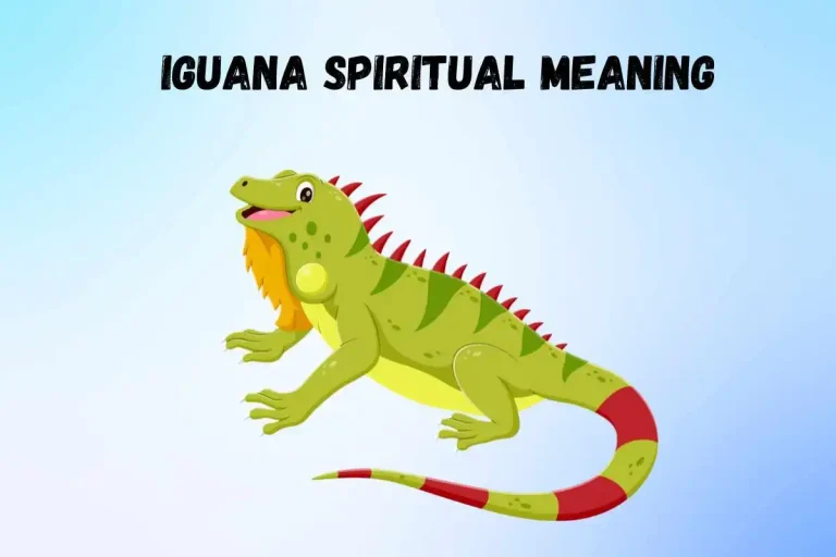 iguana-spiritual-meaning-and-symbolism