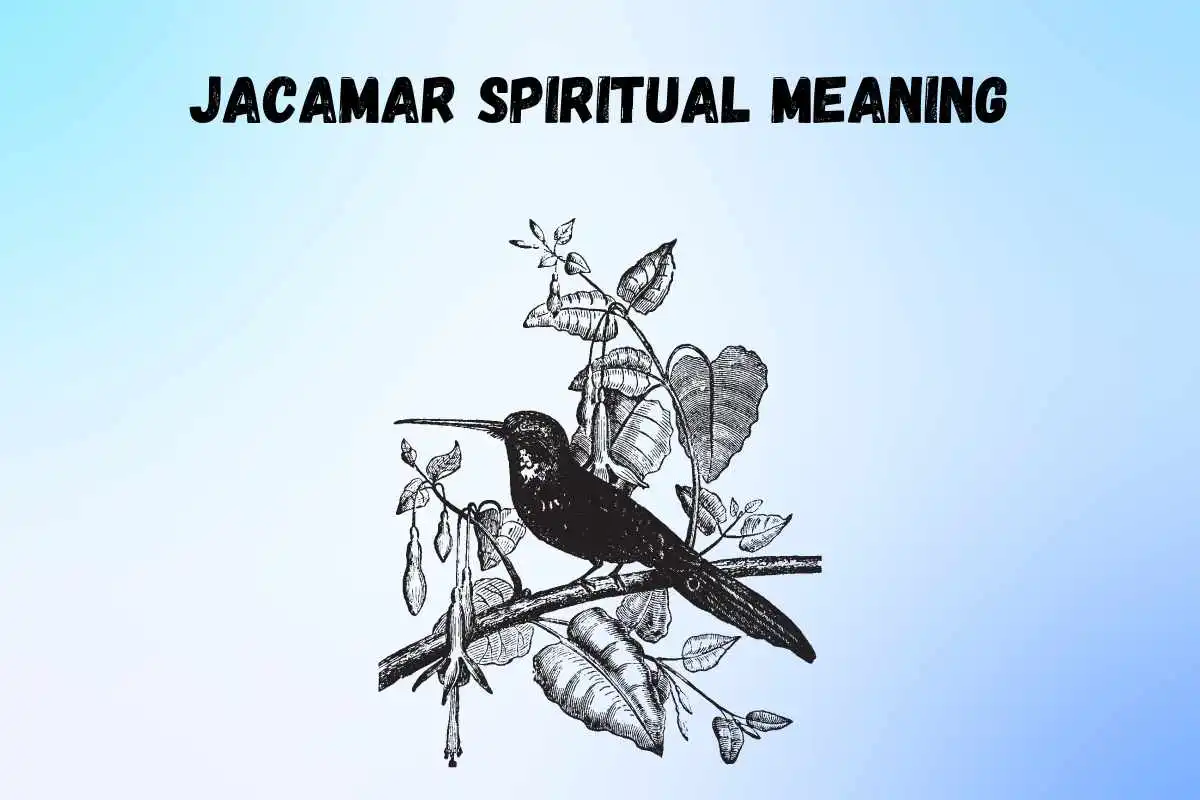 jacamar-spiritual-meaning-and-symbolism