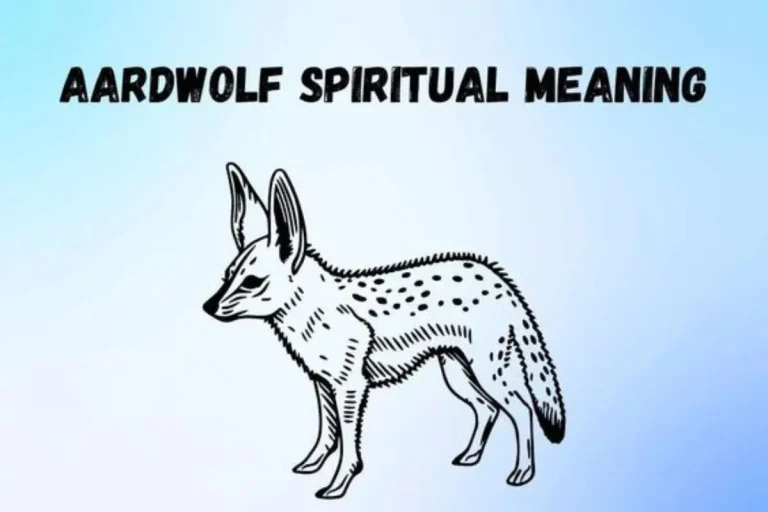 spiritual-meaning-and-symbolism-of-aardwolf