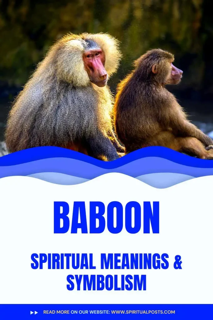 what-is-the-spiritual-meaning-of-baboon