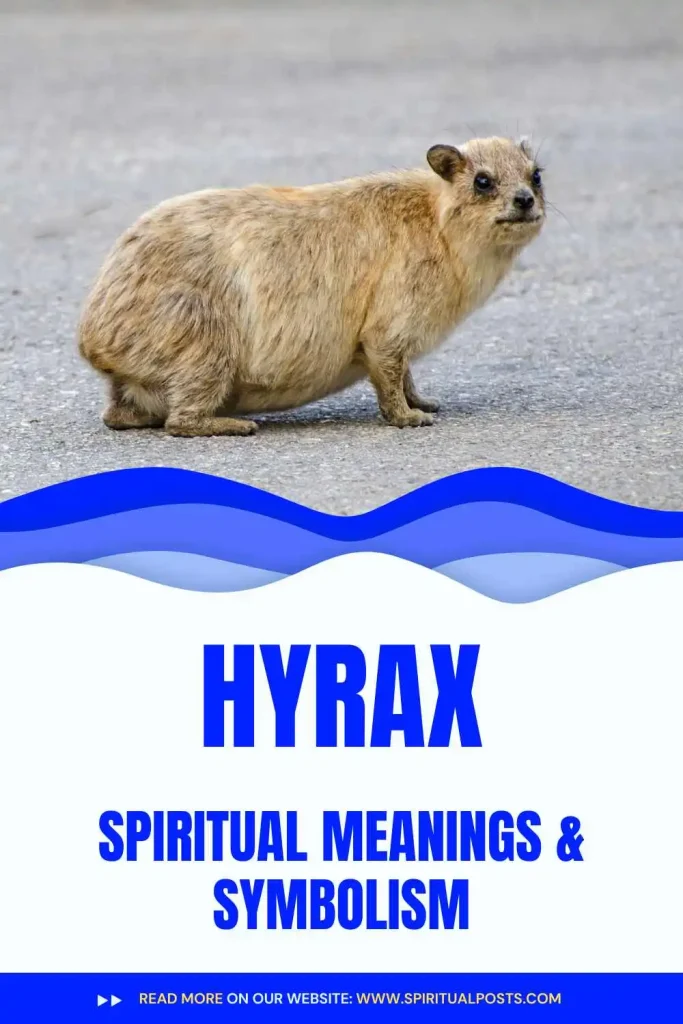 what-is-the-spiritual-meaning-of-hyrax