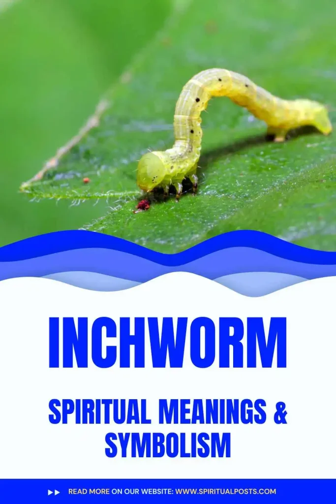 what-is-the-spiritual-meaning-of-inchworm