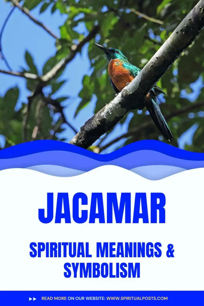 what-is-the-spiritual-meaning-of-jacamar