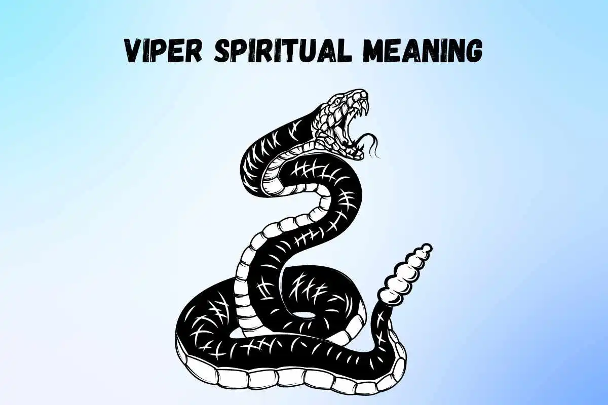 viper-spiritual-meaning-and-symbolism