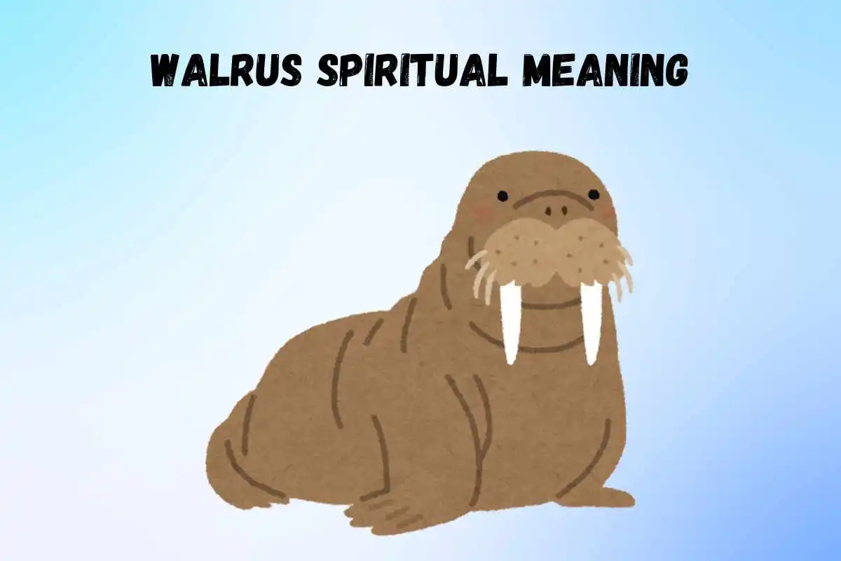 walrus-spiritual-meaning-and-symbolism