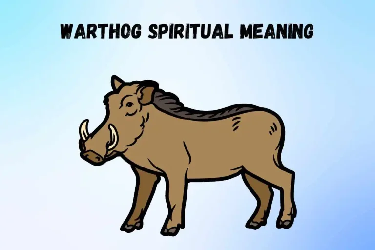 warthog-spiritual-meaning-and-symbolism