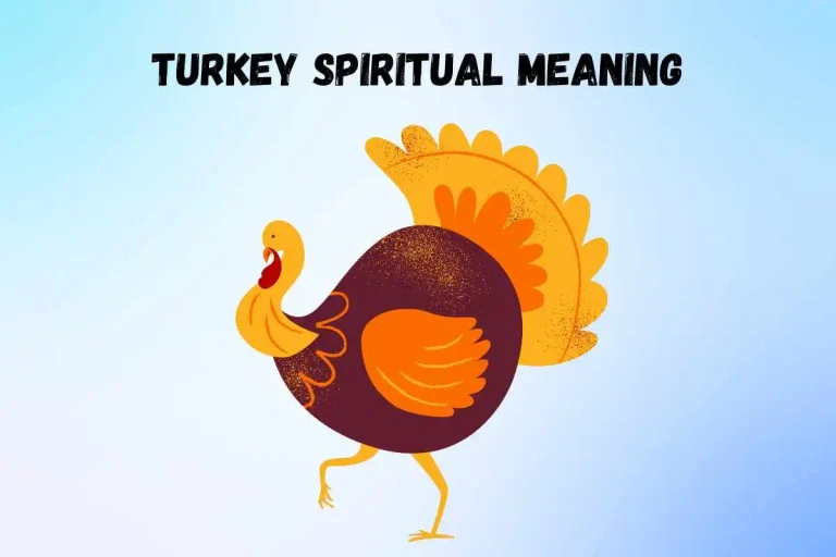 what-is-the-spiritual-meaning-of-turkey