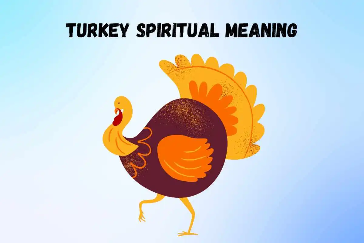 what-is-the-spiritual-meaning-of-turkey