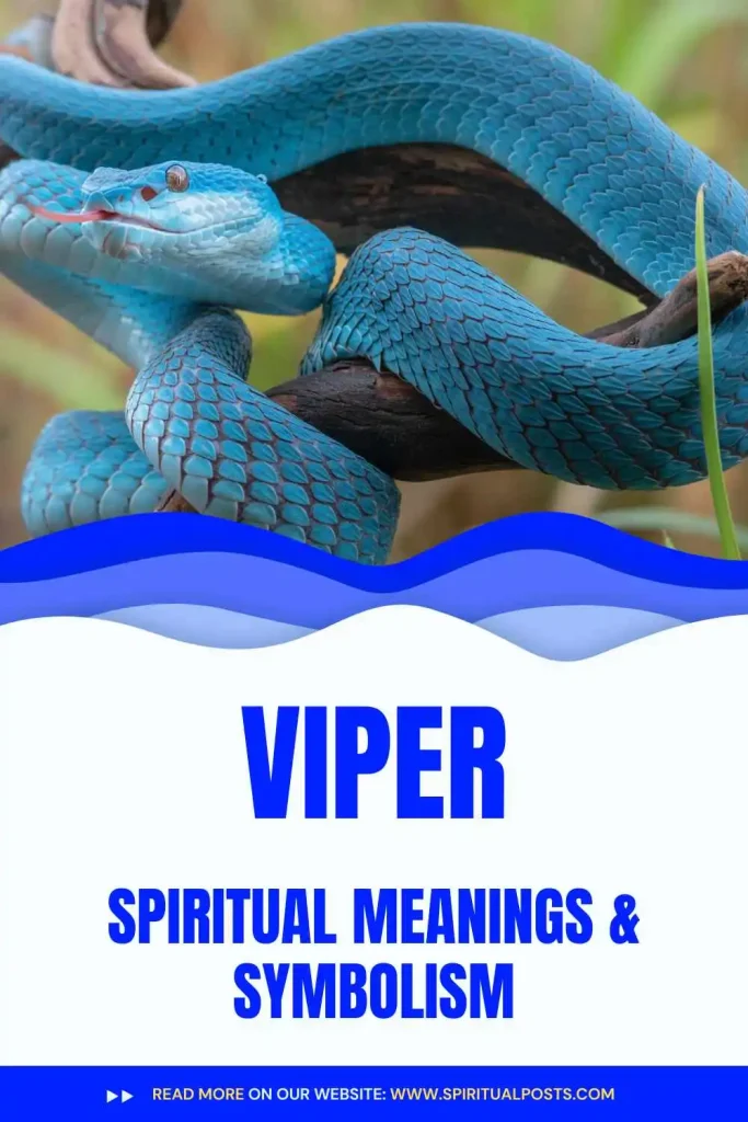 what-is-the-spiritual-meaning-of-viper-snake