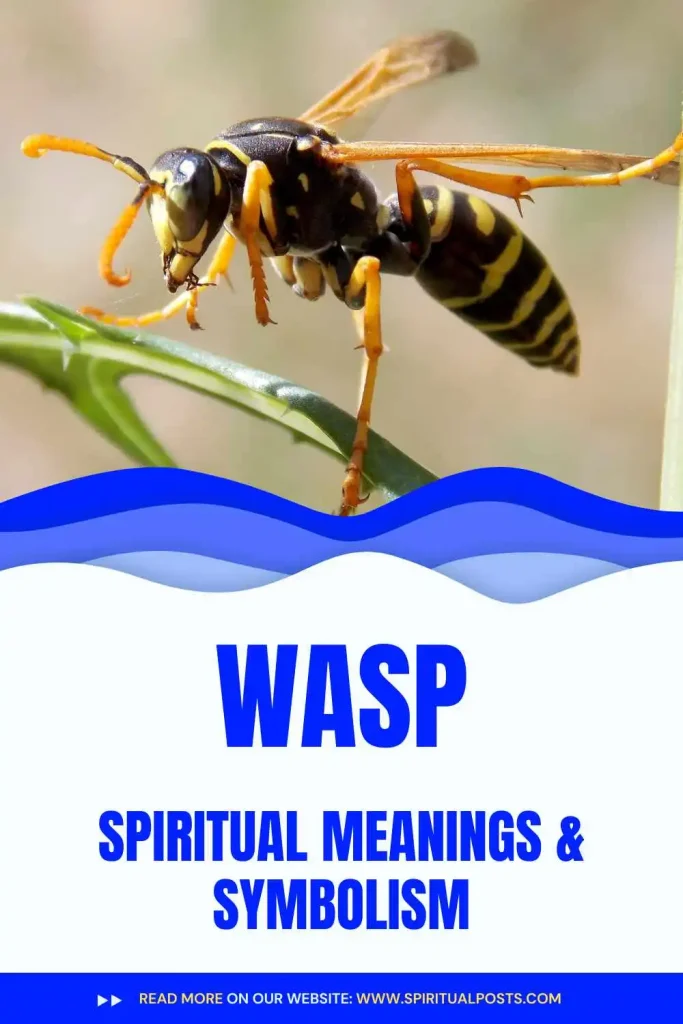 what-is-the-spiritual-meaning-of-wasp