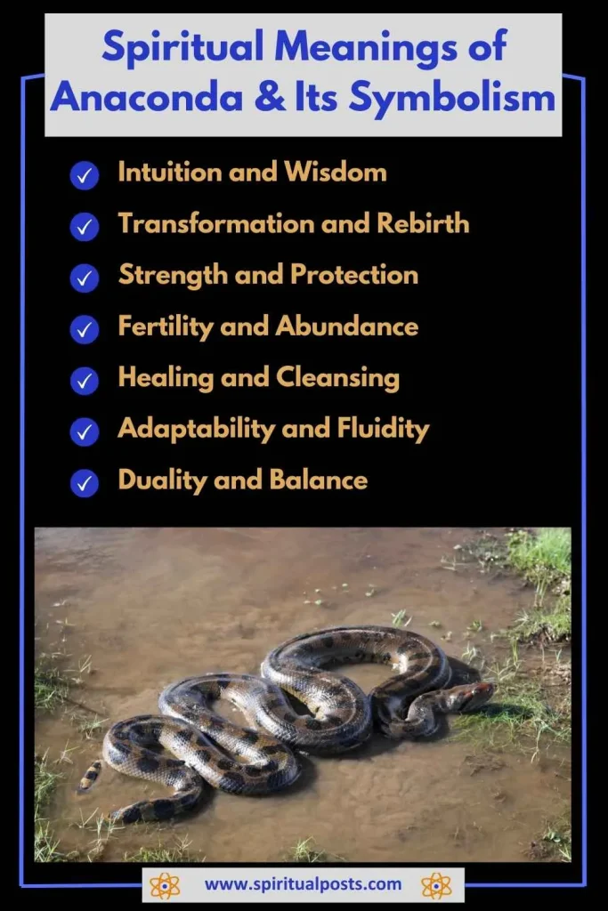 spiritual-meaning-of-anaconda-and-its-symbolism