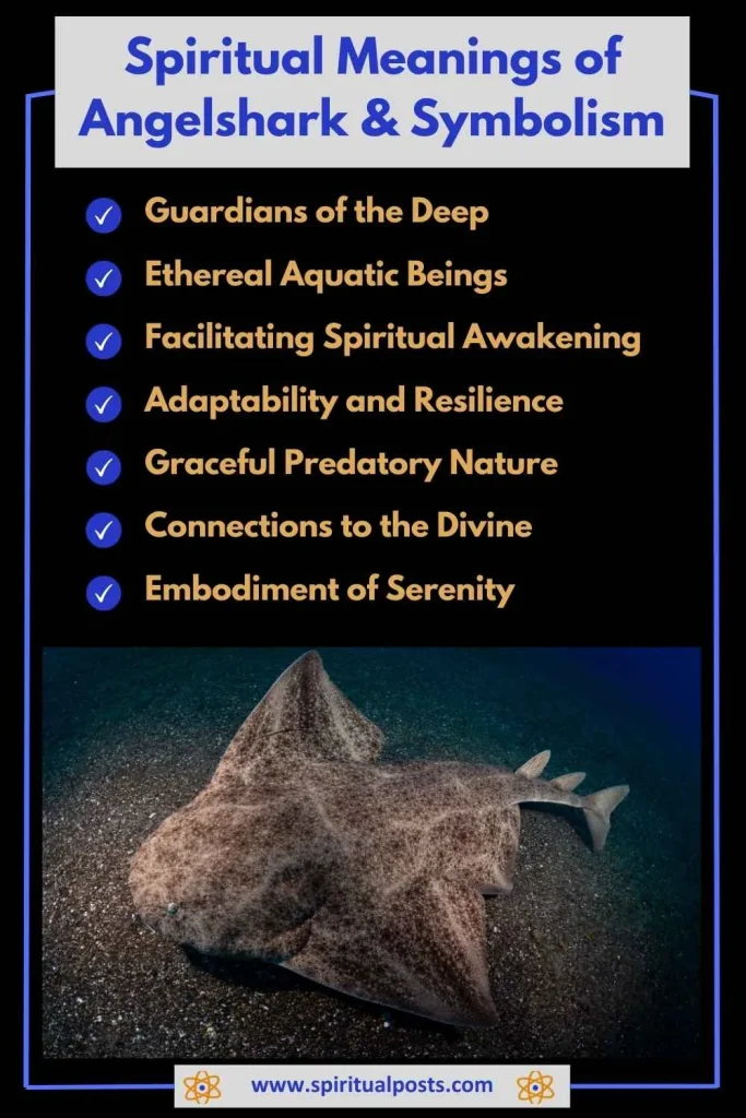spiritual-meaning-of-angelshark-and-symbolism