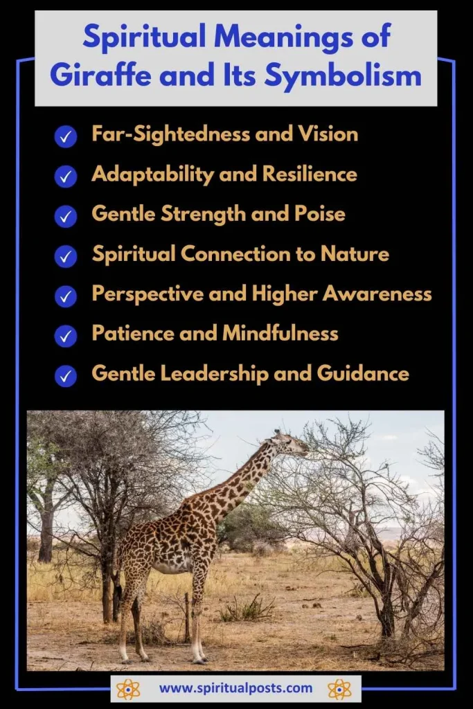 spiritual-meaning-of-giraffe-and-its-symbolism