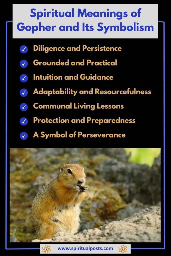 spiritual-meaning-of-gopher-and-its-symbolism
