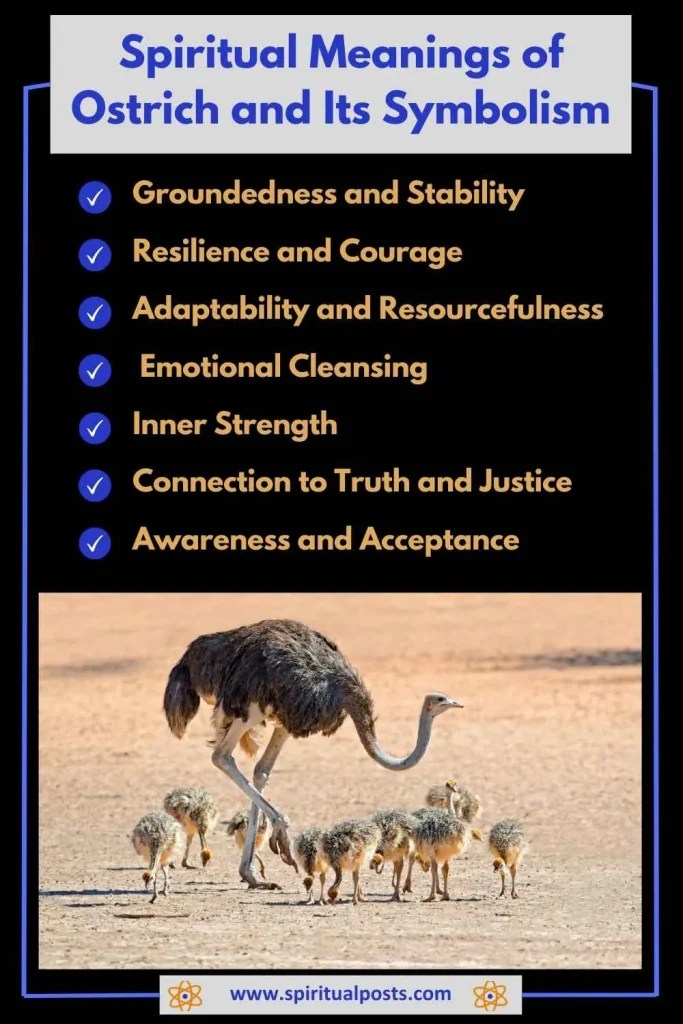 spiritual-meaning-of-ostrich-and-its-symbolism