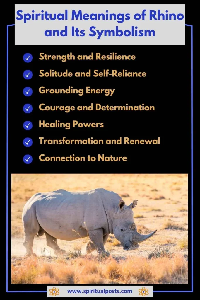 spiritual-meaning-of-rhino-and-its-symbolism