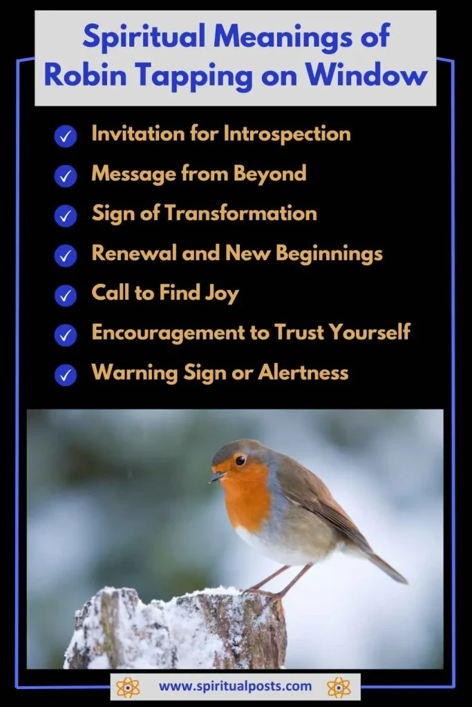spiritual-meaning-of-robin-tapping-on-window