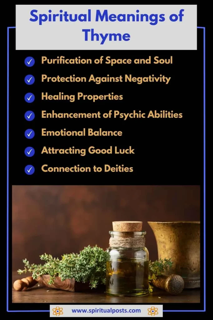 spiritual-meaning-of-thyme-properties