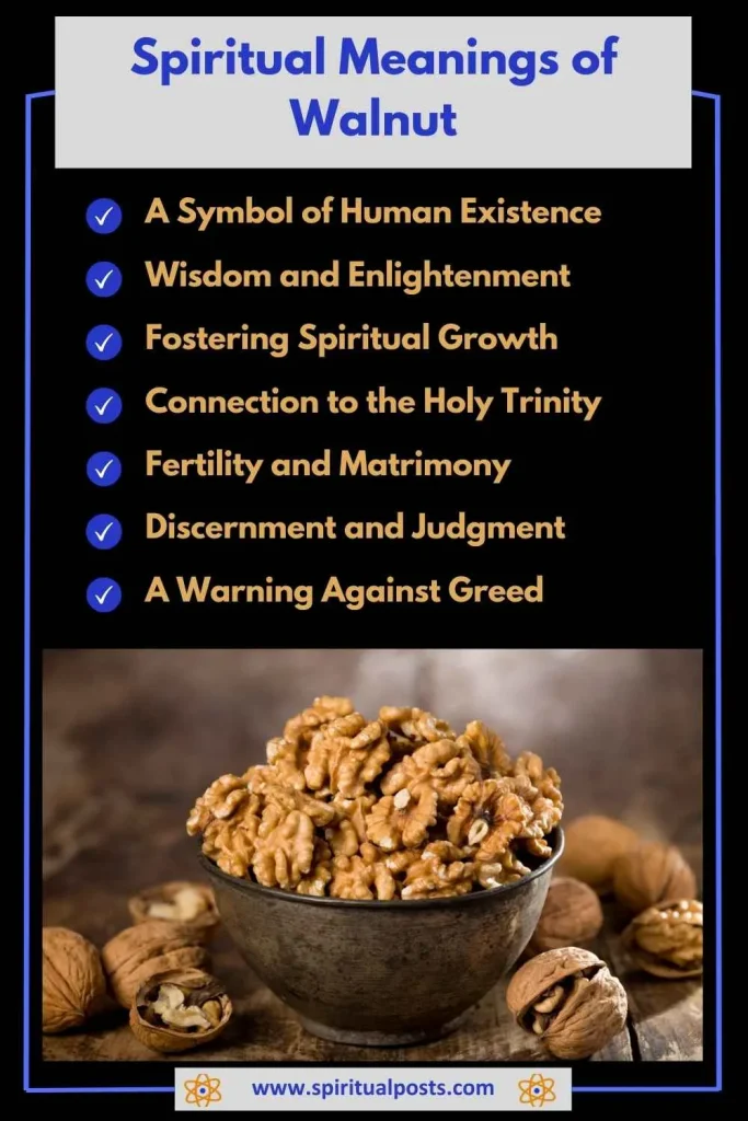spiritual-meaning-of-walnut-and-its-magical-properties