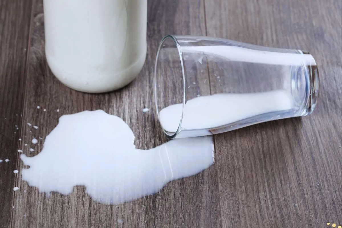 what-is-the-spiritual-meaning-of-spilling-milk
