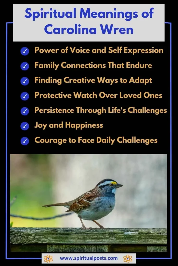 spiritual-meaning-of-carolina-wren-and-its-symbolism