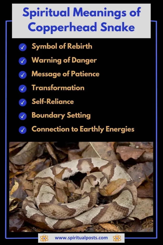 spiritual-meaning-of-copperhead-snake-and-its-symbolism