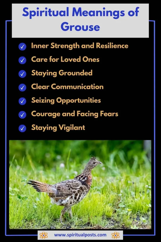 spiritual-meaning-of-grouse-and-its-symbolism