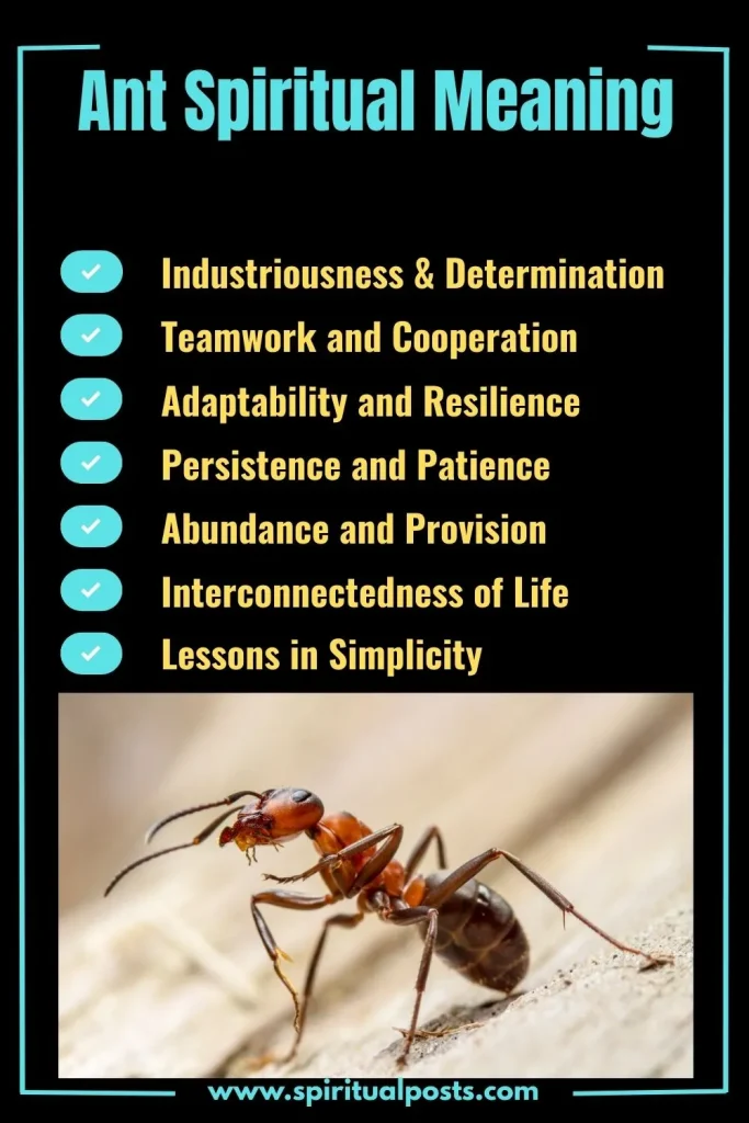 spiritual-meaning-of-ant-and-its-symbolism