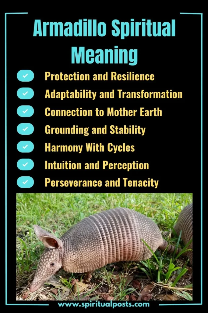 spiritual-meaning-of-armadillo-and-its-symbolism