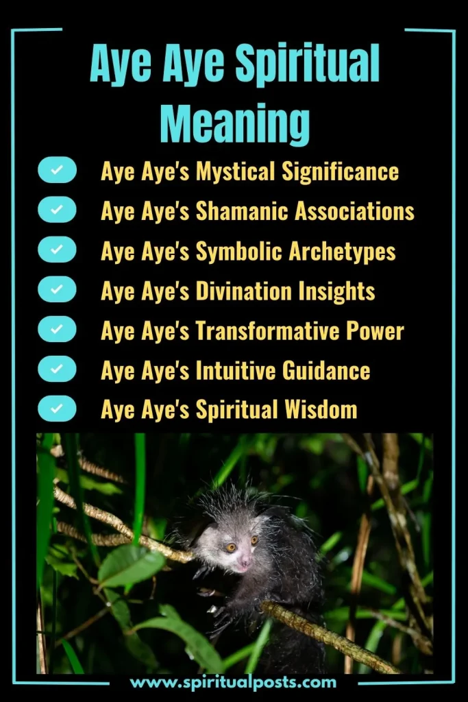 spiritual-meaning-of-aye-aye-and-its-symbolism