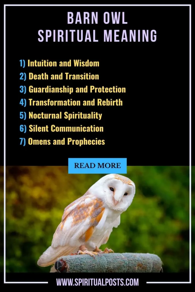spiritual-meaning-of-barn-owl-symbolism-significance