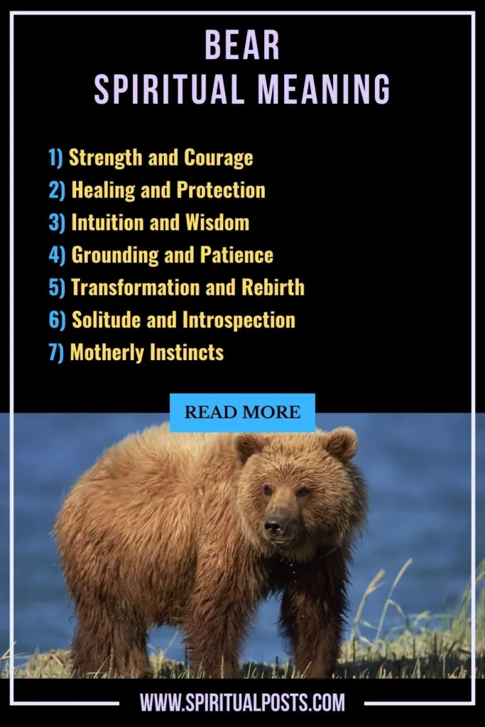 spiritual-meaning-of-bear-symbolism-significance