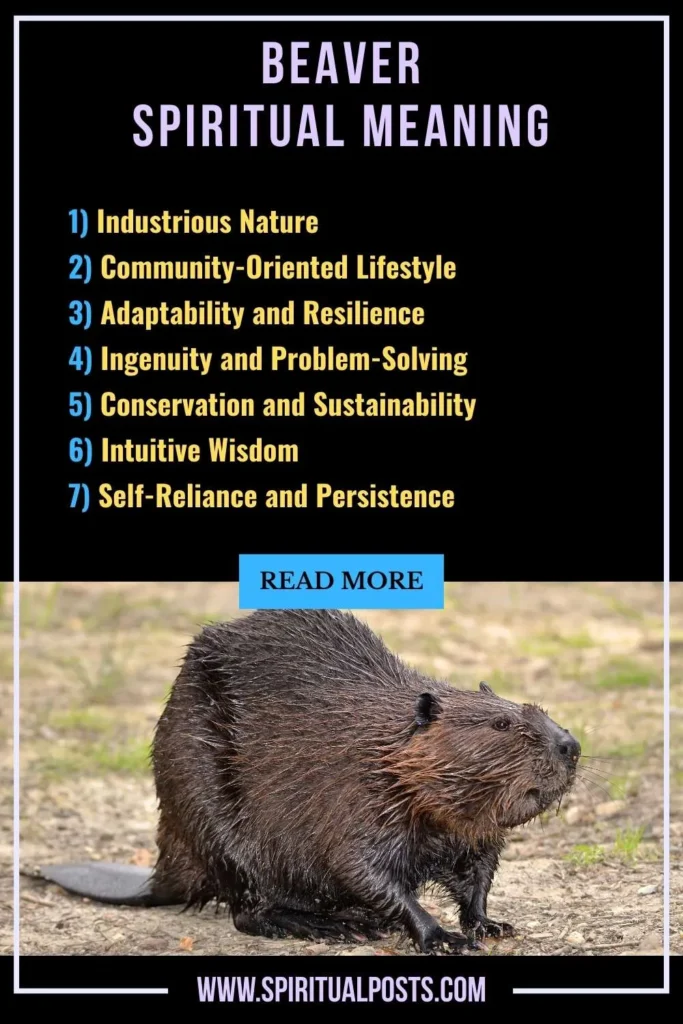 spiritual-meaning-of-beaver-symbolism-significance