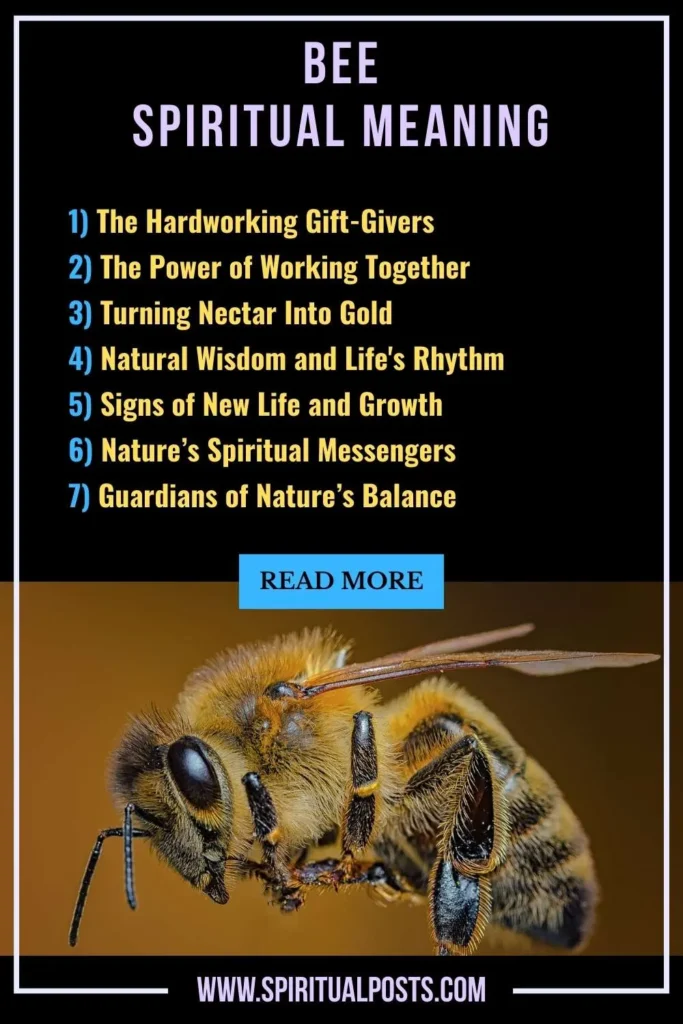 spiritual-meaning-of-bee-symbolism-significance