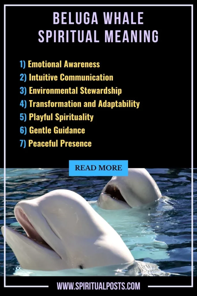 spiritual-meaning-of-beluga-symbolism-significance