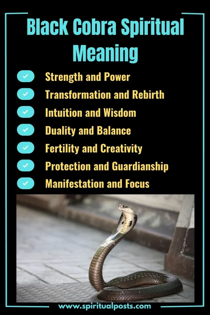 spiritual-meaning-of-black-cobra-and-its-symbolism