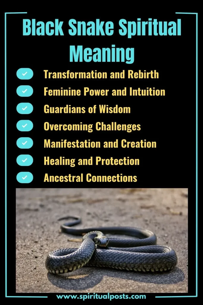 spiritual-meaning-of-black-snake