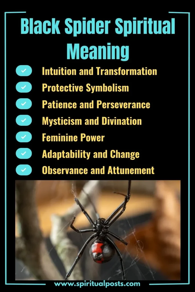 spiritual-meaning-of-black-spider-and-its-symbolism
