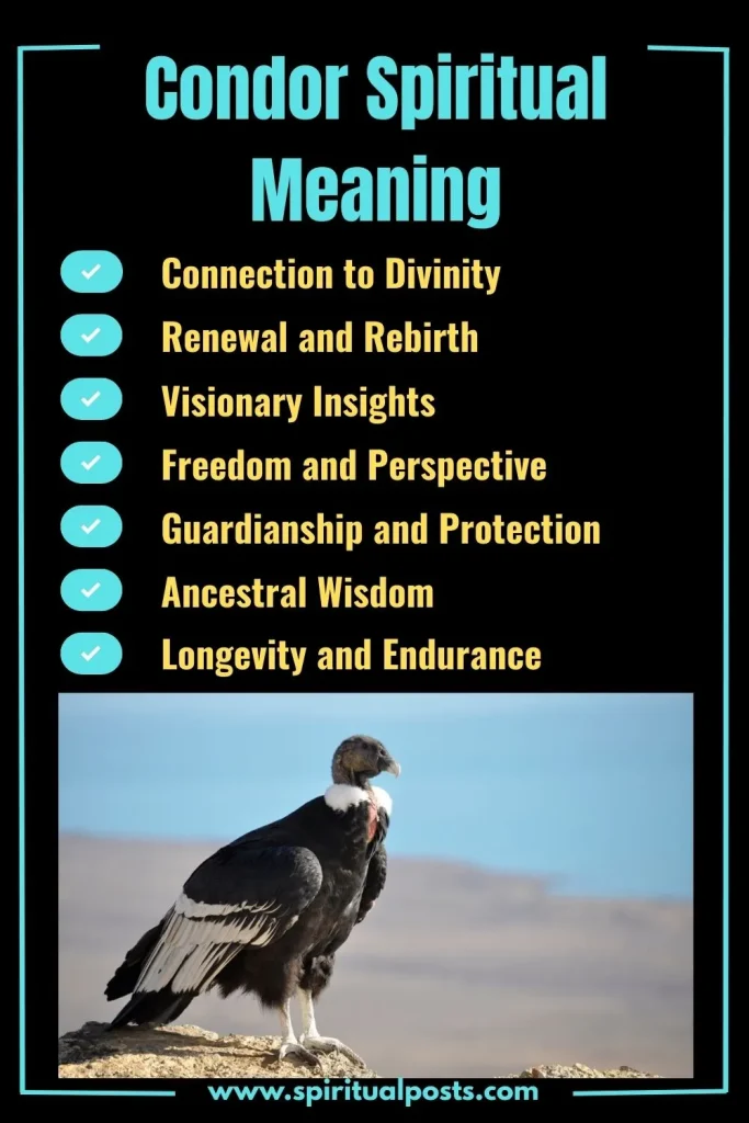 spiritual-meaning-of-condor-and-its-symbolism