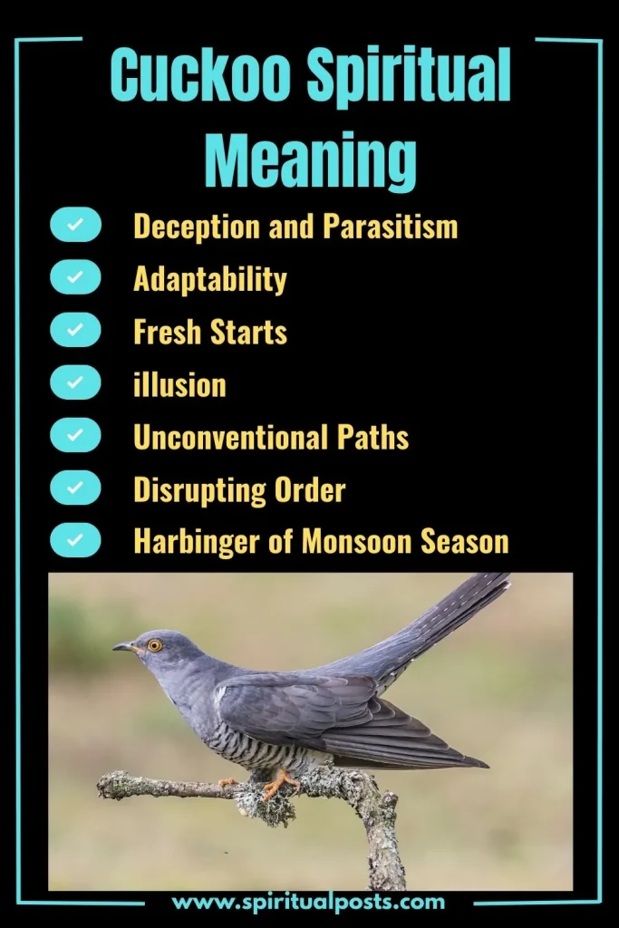 spiritual-meaning-of-cuckoo-and-its-symbolism