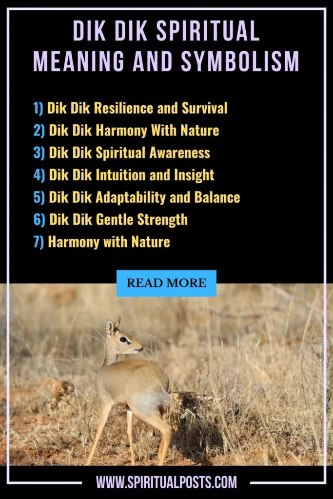 spiritual-meaning-of-dik-dik-symbolism-significance
