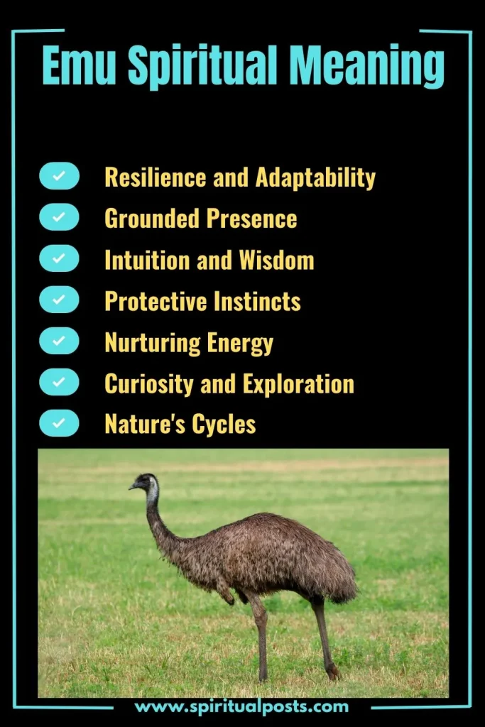 spiritual-meaning-of-emu-and-its-symbolism