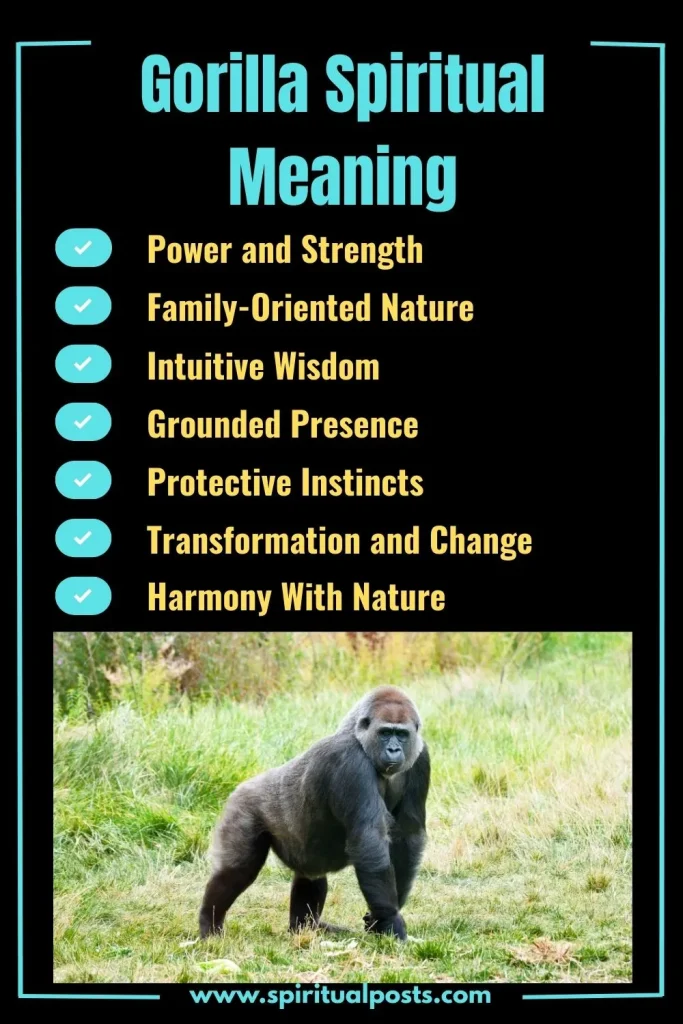 spiritual-meaning-of-gorilla-and-its-symbolism