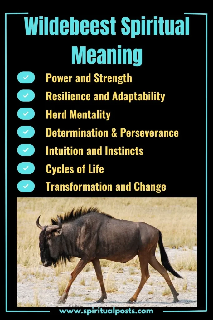 spiritual-meaning-of-wildebeest-and-its-symbolism